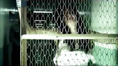 A pirang goyang dheweke bokong lan dheweke uga ngisep kontol